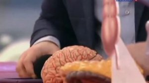 Тошнота: причины, симптомы, возможные очаги заболевания и лечение