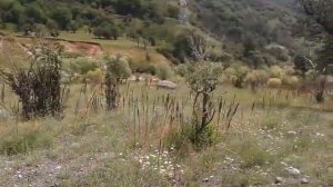 Выход воды от ГТ-100.