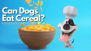 Can Dogs Eat Cereal? 🥣🐕  | WHISKOPETS KITCHEN 😍