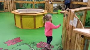 Настя в зоопарке, играет и кормит животных Nastya at the zoo