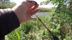 Рыбалка на микроджиг в июне. Ловля окуней и щук на Maximus Gravity-X Microjig 202SUL 0,6-5g