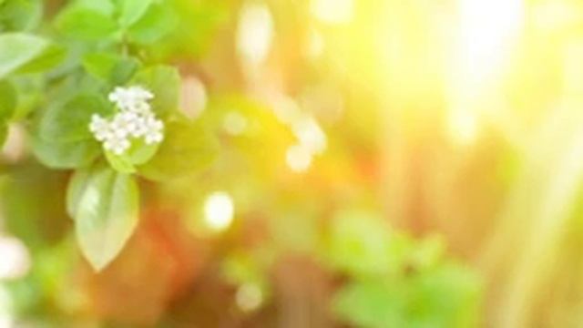 Расслабляющая Музыка: Музыка Сна, Снятие Стресса, Музыка Для Медитации, Спа Музыка, Фоновая Музыка смотреть онлайн