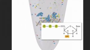 What is and how to do PCR test