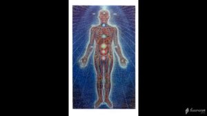 Разговор с неофитом о чакрах