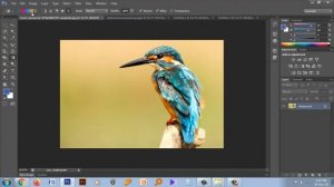 How To Use Gradient  & Paint Bucket Tool In Photoshop CS6 In Bangla