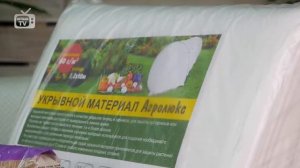 Как укрыть клубнику на зиму? ?  Ягода клубника - Мастер-класс ? Урожайный огород с  hitsadTV