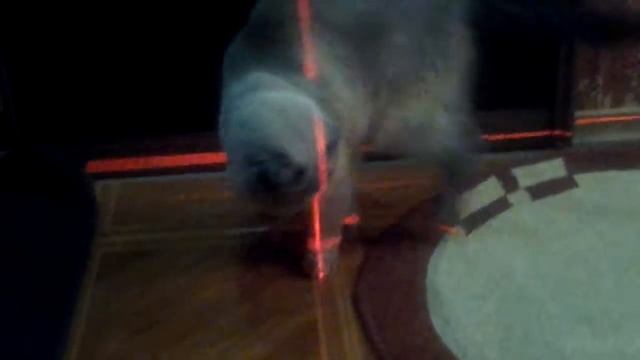 нивелир Bosch Quigo смотреть онлайн