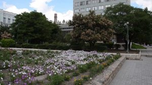 Мелитопольский Агротехнологический Университет! ТГАТУ в Мелитополе!