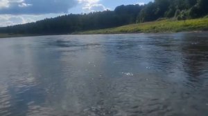 Сплав на SUP бордах по Тверце