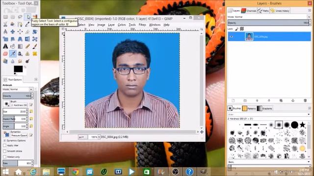 GIMP Tutorial: Remove Your Photos Background  Make it White