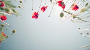 Софоос. Ченнелинг.  Николай Чудотворец   "Формы лени"