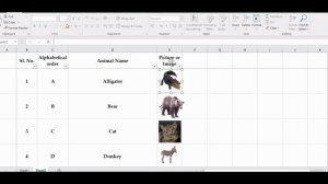 HOW TO INSERT IMAGES IN EXCEL CELL AND AUTO RESIZE WITH CELLS