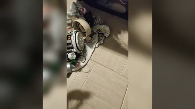 hansa zwm 416 wh, набирает воду но не моет (тишина или скрежет). смотреть онлайн