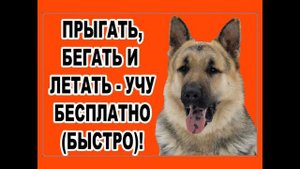 ВЕО ЛАСКОВЫЙ МАЙ - Натуральный блондин!