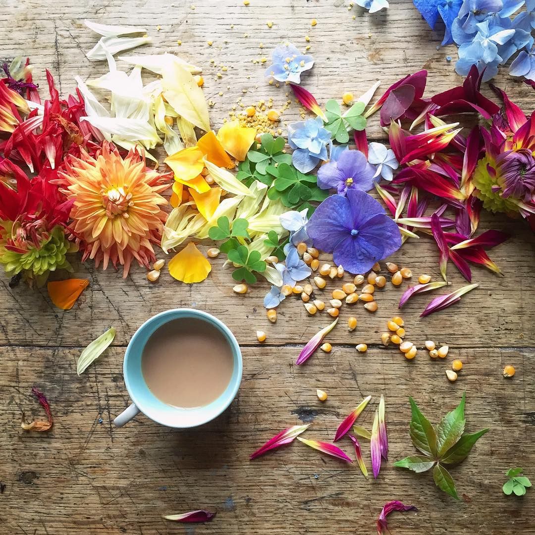 Кофе цветы и Радуга