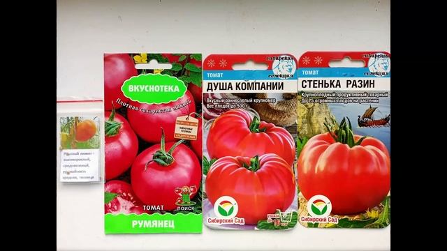 Самые крупноплодные томаты 2023