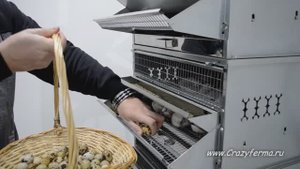 Клетка для перепелов на 300 голов "Профессионал"