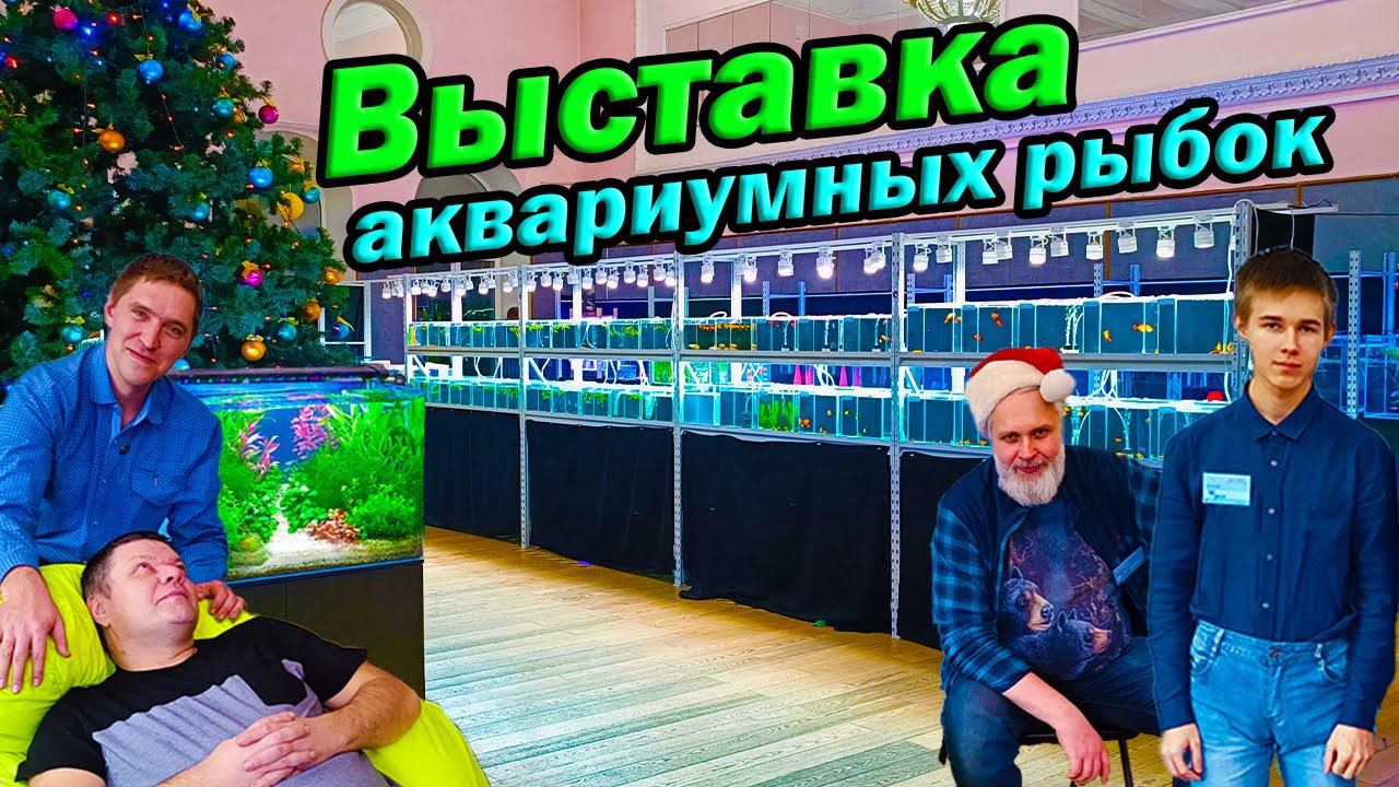 Выставка аквариумных рыбок 2023 Красивые петушки, дискусы и акваскейпы