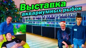 Выставка аквариумных рыбок 2023 Красивые петушки, дискусы и акваскейпы