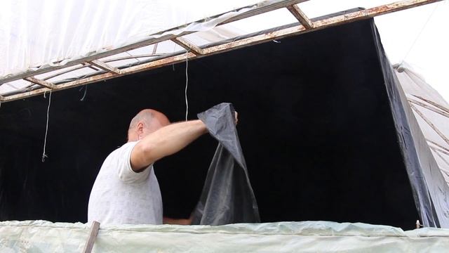 Хризантема. Закрываем торцы черной плёнкой. смотреть онлайн