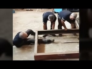 ПОЛНЫЕ ИДИОТЫ НА РАБОТЕ #269 ПЛОХОЙ ДЕНЬ НА РАБОТЕ 2022