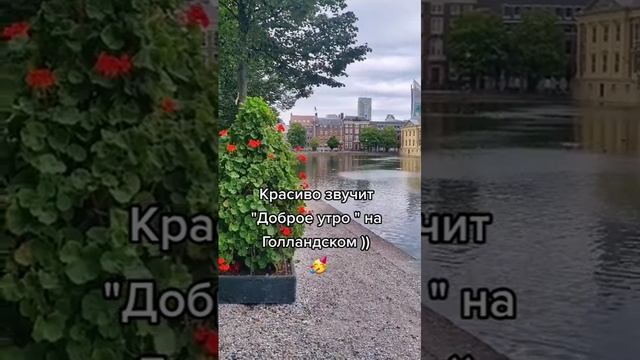 привет на разных языках мира. доброе утро музыканту. доброе утро на английском. приветствия на разных я заках. доброе утро на нидерландском.