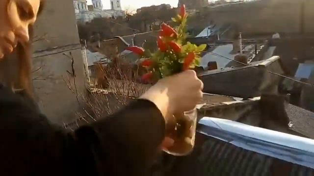 ВСЕМ ВЕСЁЛОГО ПРАЗДНИЧНОГО НАСТРОЕНИЯ!