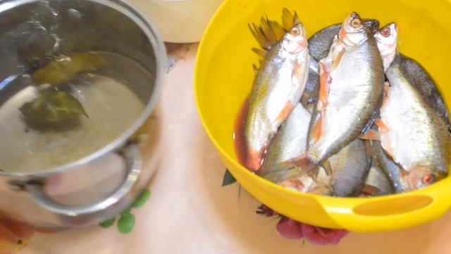 Малосольная селедка из плотвы в домашних условиях.