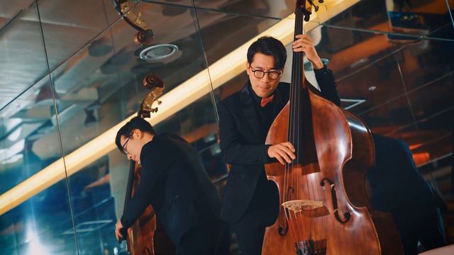 PINK PANTHER Theme (Double Bass)