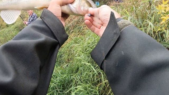 Поставил эту ПРИМАНКУ и ПОНЕСЛОСЬ! Судак, щука, окунь Рыбалка на спиннинг 2021 смотреть онлайн