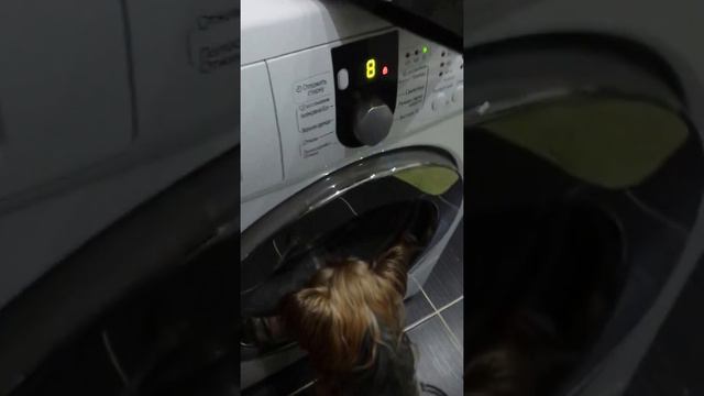 Тоха и его домик смотреть онлайн