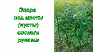 Опора для цветов кустов своими руками.mp4