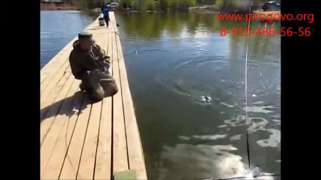 Платная рыбалка