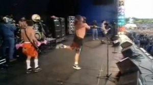 John Frusciante   Tiny Dancer Pinkpop 1990