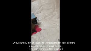 Камелия Евро Теплое Пуховое одеяло