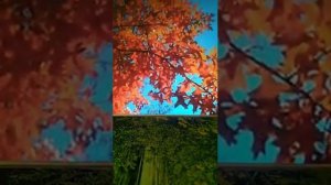 Песня "Осень, она не спросит", на стихи И. Левинзон.