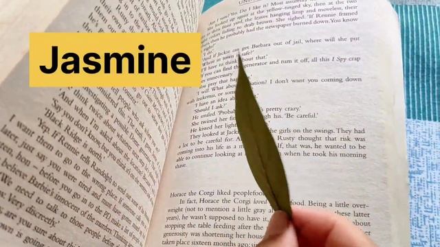 Herbarium Project | DIY Herbarium Sheet | Science Project | Biology Project| EVS Project #herbarium смотреть онлайн