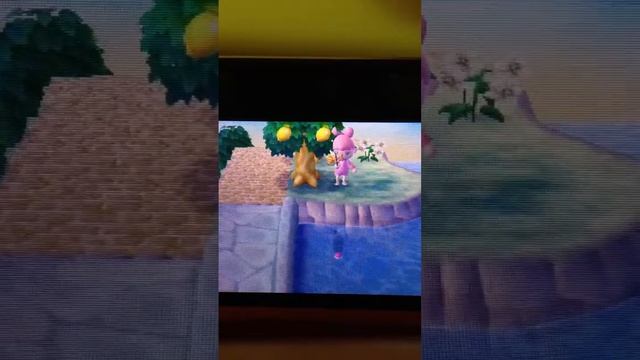 Animal Crossing New Leaf - Catching an Arapaima смотреть онлайн
