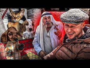 Где Купить в Одессе Собаку?? Староконный Рынок. Барахолка. Рынок Животных