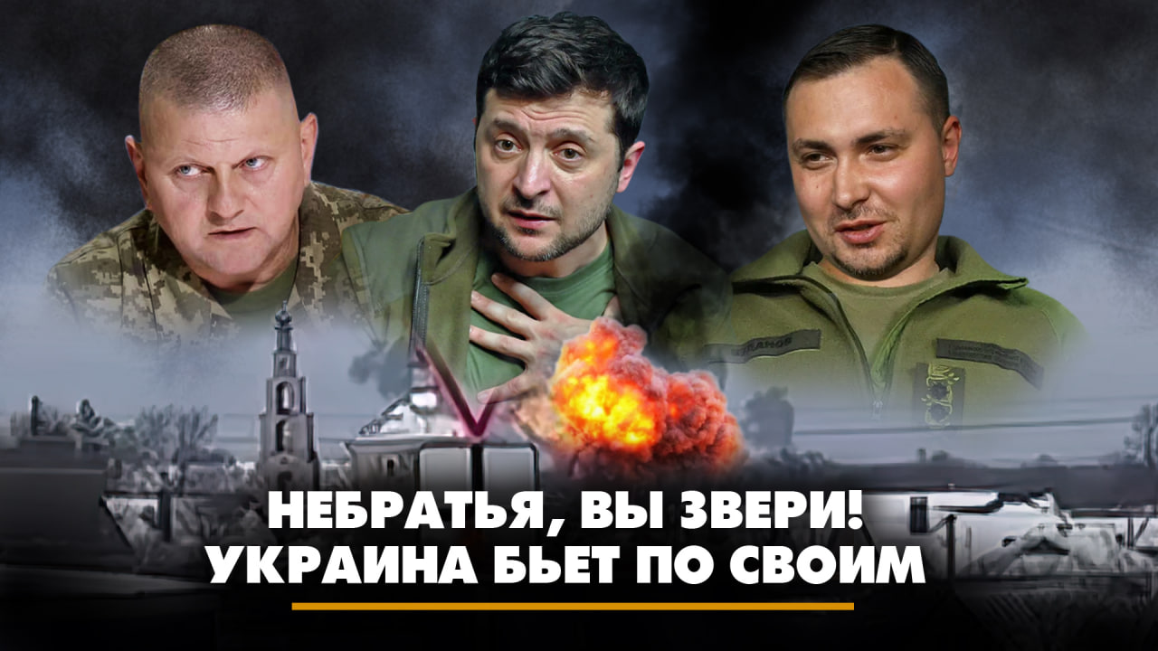 артём панькин. не панкин ютуб канал. иван панкин. иван бейко. иван панкин комсомольская правда.