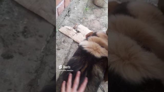 засоня(1 год назад)