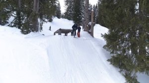 Eretic Snowscoot 2019 edit