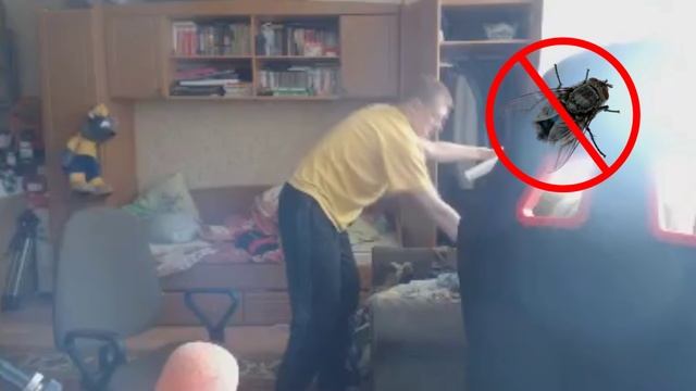 Как избавиться от мух? смотреть онлайн