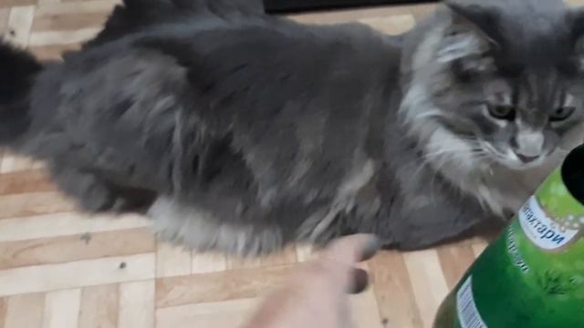 Как избавиться от сорняков и травы за 3 минуты!.