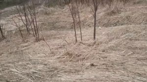 ЕДЕМ В КИРОВ ЗА ШТОРАМИ.ПОКАЖУ ЧТО КУПИЛИ.