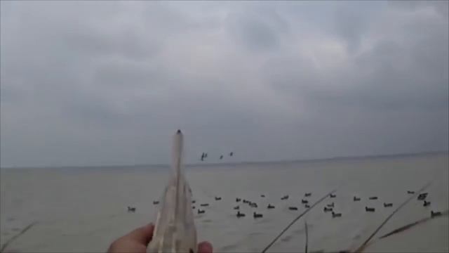 Охота на утку. смотреть онлайн