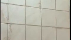 Затирка швов после укладки плитки