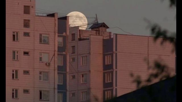 meme: спасать его кто-нибудь будет Тихон Алёшенька Любава смотреть онлайн