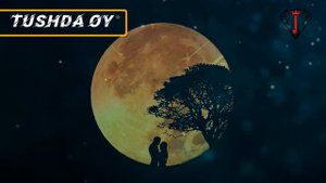 Ой тушда курса нима булиши хакида туш табири