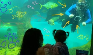 Николь с Анжеликой идут в океанариум